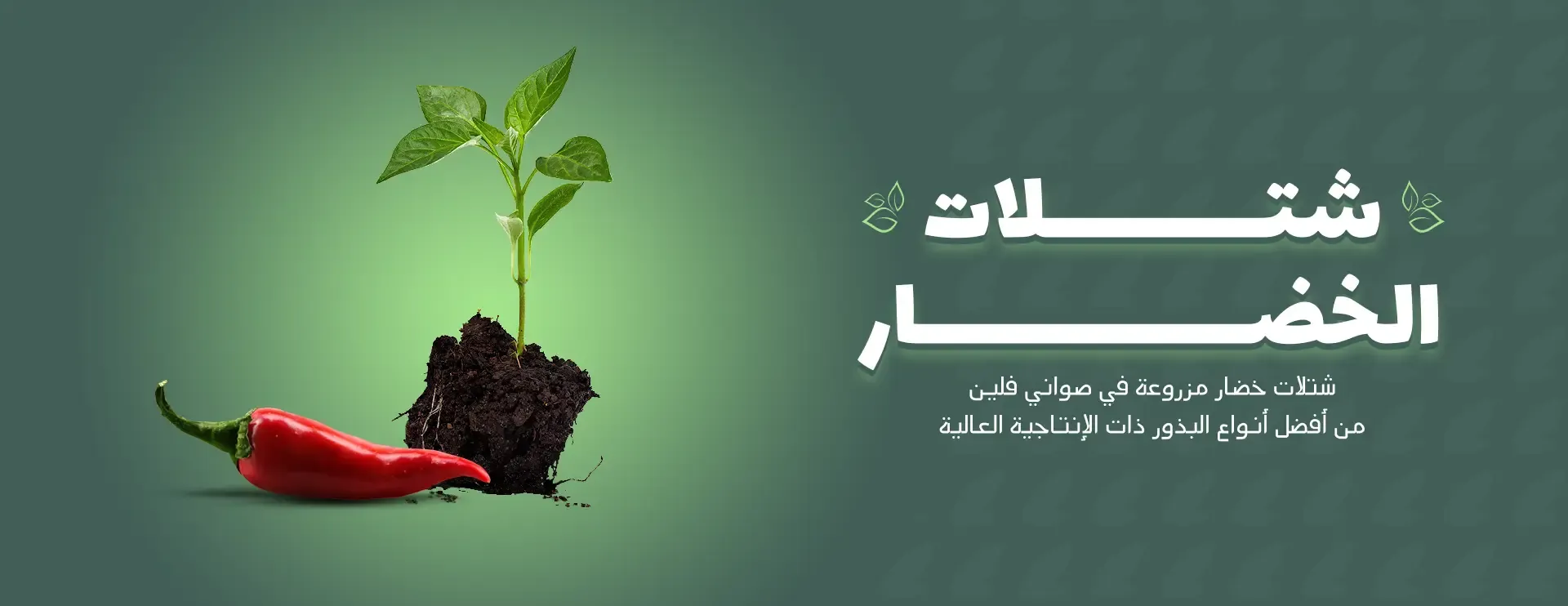 6sN5617MS9KDQExYYtGEfAQD9oE9JEJJHz0HMtQS